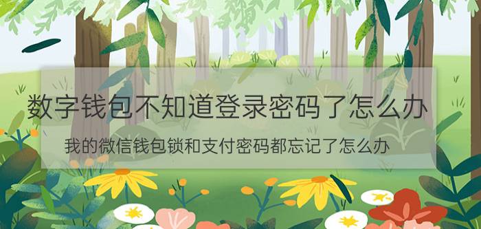 数字钱包不知道登录密码了怎么办 我的微信钱包锁和支付密码都忘记了怎么办？